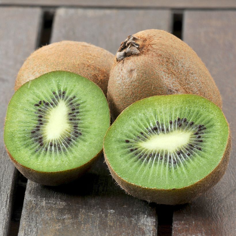 Kiwi Boskoop autofértil - Actinidia deliciosa (Colheita)