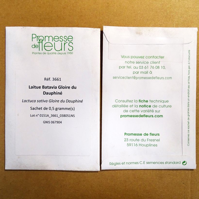 Exemplo de amostra de Laitue Batavia Gloire du Dauphiné - Lactuca sativa per pack of 400 seeds tal como entregue