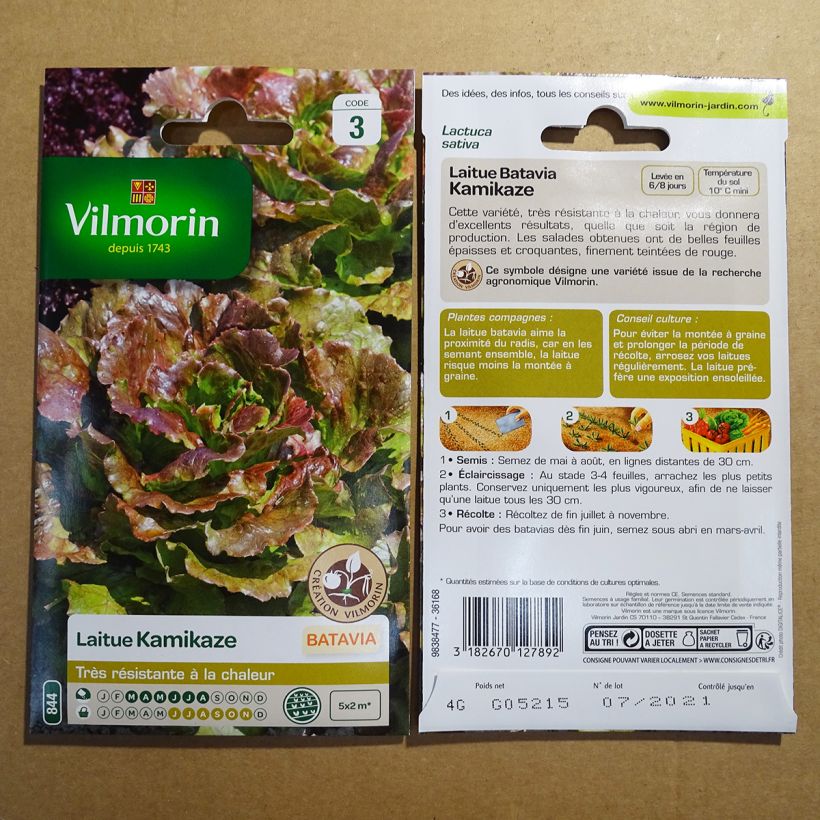 Exemplo de amostra de Laitue Batavia Kamikaze (Obt.Vilmorin) feuilles rouges - Vilmorin per pack of 3200 seeds (4g) tal como entregue