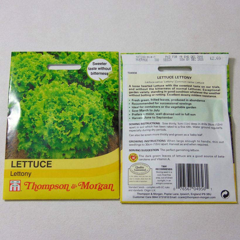 Exemplo de amostra de Laitue Batavia Lettony per pack of 300 seeds tal como entregue