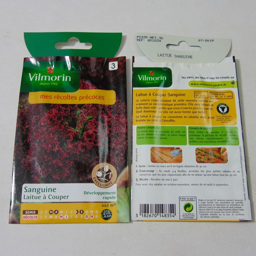 Exemplo de amostra de Laitue Batavia Sanguine - Vilmorin per pack of 2400 seeds (3g) tal como entregue