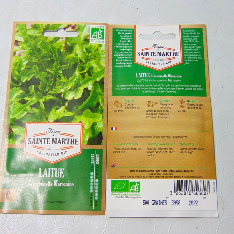 Exemplo de amostra de Laitue Cressonnette Marocaine (Radichetta) Bio - Ferme de Sainte Marthe - Graines de salade à couper o saco de 400 sementes aproximadamente tal como entregue