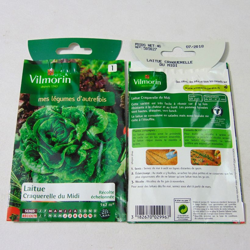 Exemplo de amostra de Laitue Grasse Craquerelle du Midi - Vilmorin per pack of 3200 seeds (4g) tal como entregue