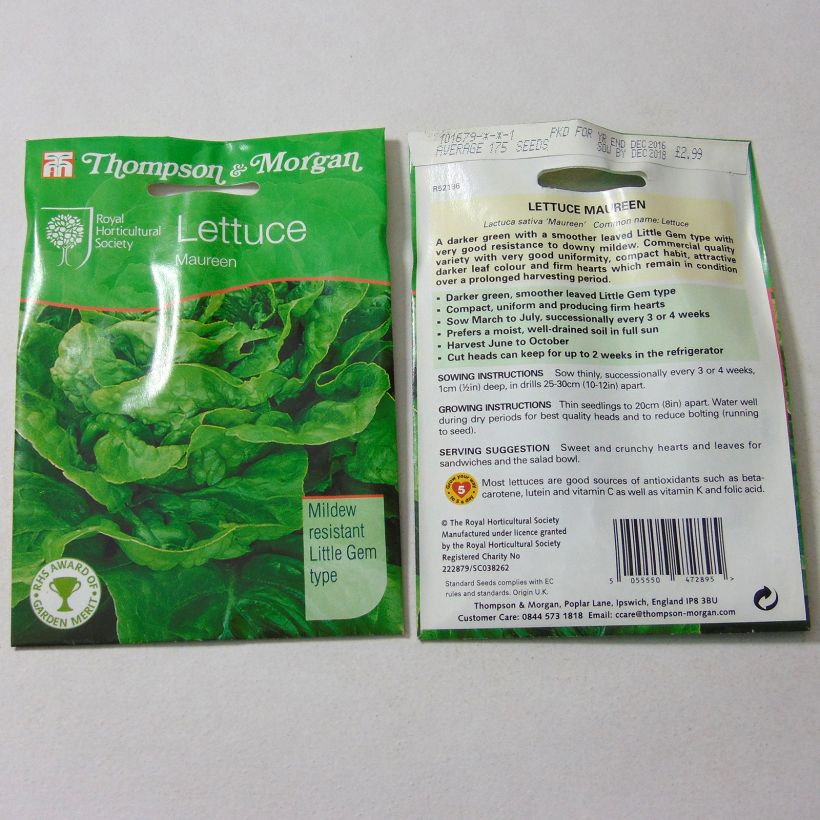 Exemplo de amostra de Laitue Grasse Maureen per pack of 175 seeds tal como entregue