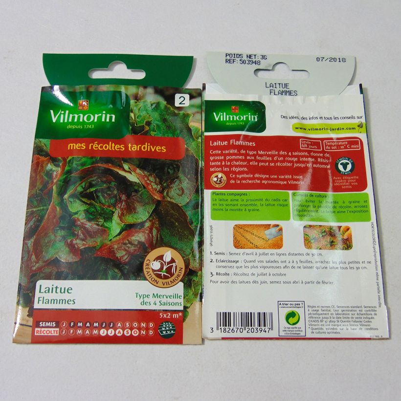 Exemplo de amostra de Laitue Pommée Flammes (Création Vilmorin) - Vilmorin die Tüte mit 2400 Samen (3g) tal como entregue