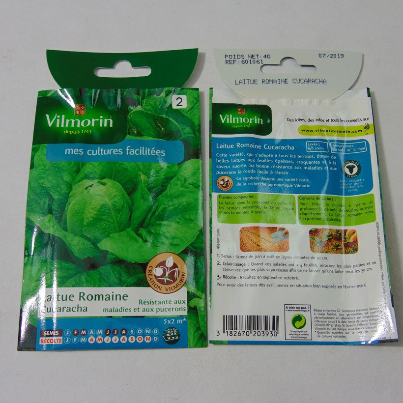 Exemplo de amostra de Laitue Romaine Cucaracha (Création Vilmorin) - Vilmorin per pack of 3200 seeds (4g) tal como entregue