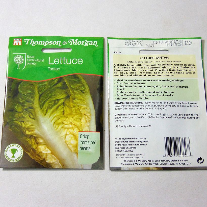 Exemplo de amostra de Laitue Romaine Tantan per pack of 250 seeds tal como entregue