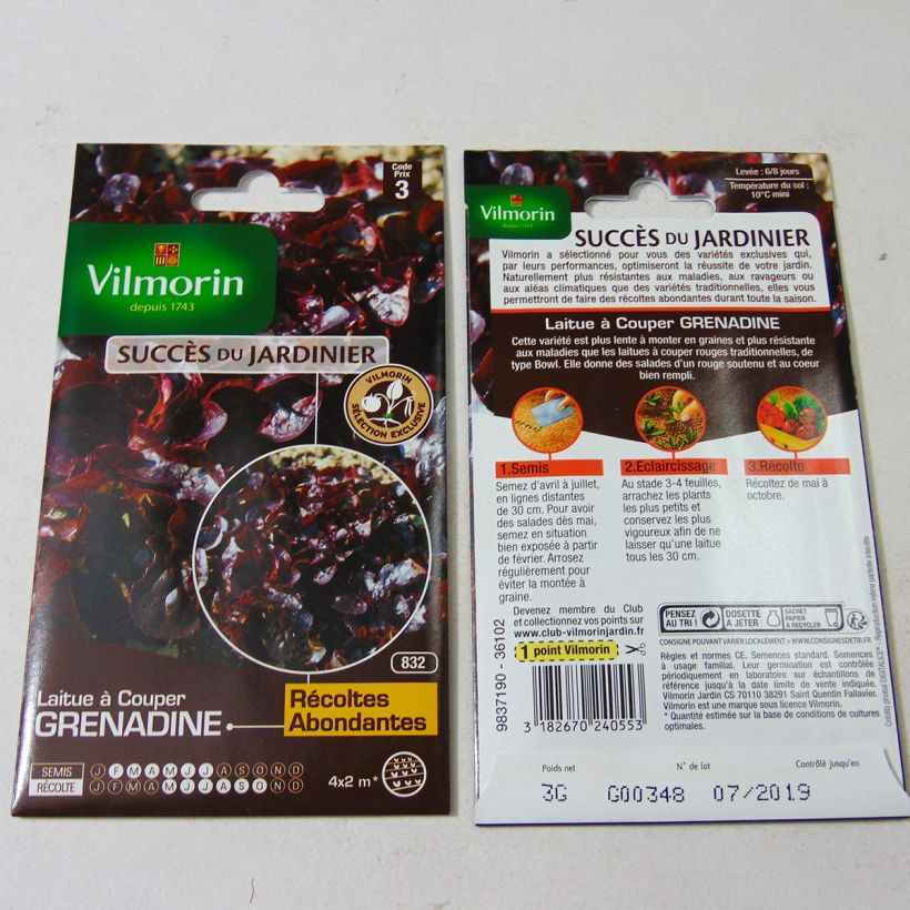 Exemplo de amostra de Laitue à couper Feuille de Chêne Grenadine (Obtention Vilmorin) - Vilmorin per pack of 3000 seeds (3g) tal como entregue