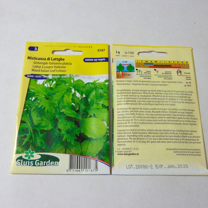 Exemplo de amostra de Laitue à couper Italienne Misticanza di Lattghe - Mélange - Mesclun per pack of 1500 seeds (2g) tal como entregue