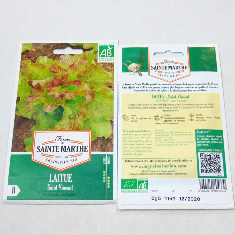 Exemplo de amostra de Laitue à couper Saint Vincent Bio - Ferme de Sainte Marthe per pack of 400 seeds tal como entregue