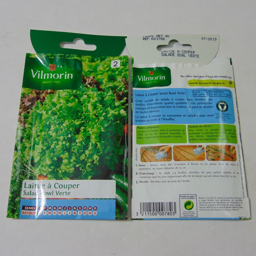 Exemplo de amostra de Laitue à couper Salad Bowl verte - Vilmorin per pack of 3200 seeds (4g) tal como entregue