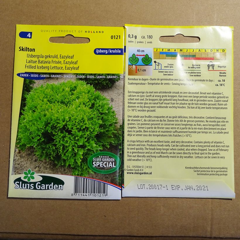 Exemplo de amostra de Laitue batavia frisée Eazyleaf Skilton per pack of 180 seeds (0.3g) tal como entregue