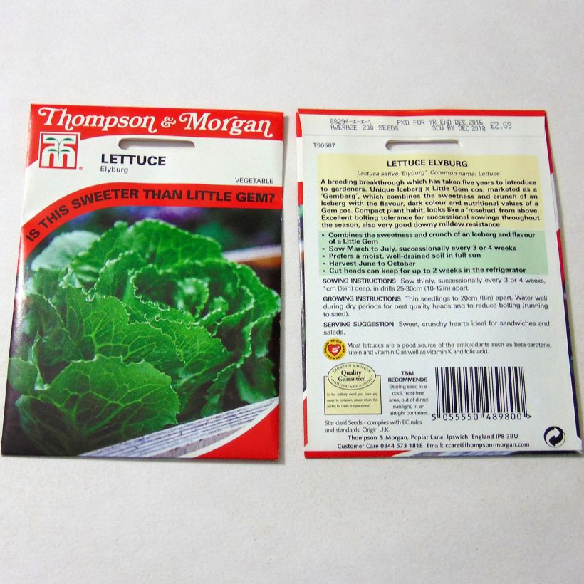 Exemplo de amostra de Laitue hybride Elyburg per pack of 200 seeds tal como entregue