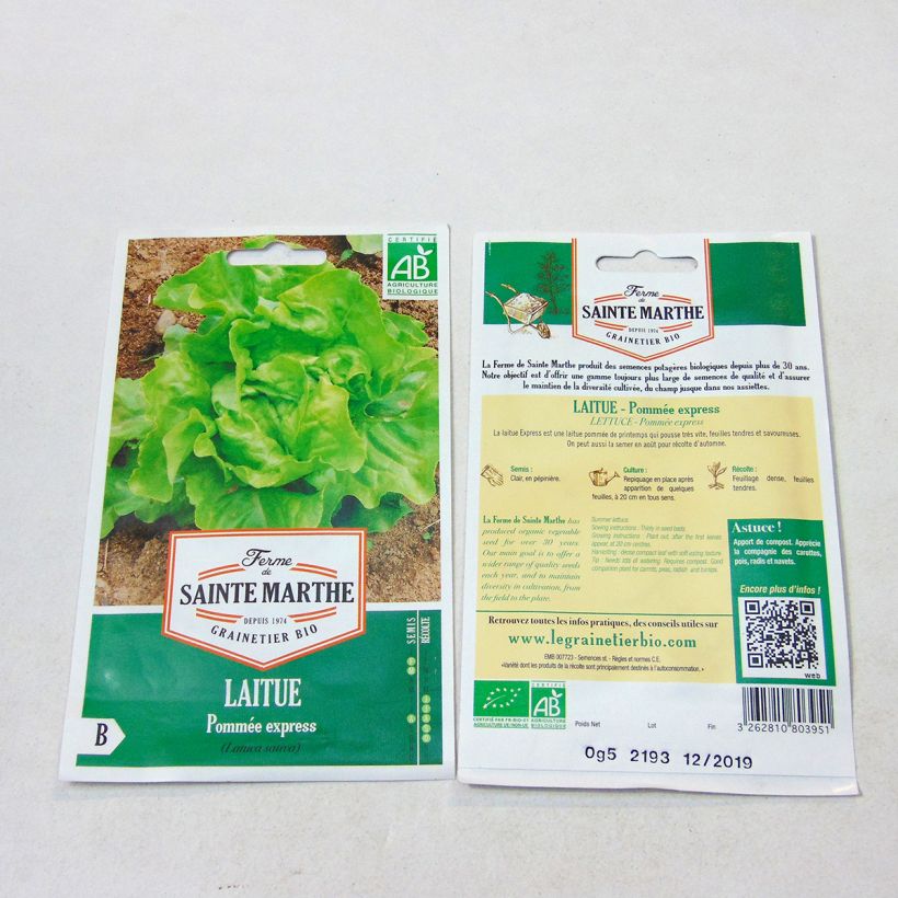 Exemplo de amostra de Laitue pommée Express Bio - Ferme de Sainthe Marthe per pack of 500 seeds tal como entregue