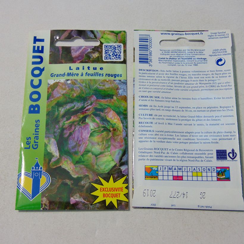 Exemplo de amostra de Laitue pommée Grand-mère à feuilles rouge - Lactuca sativa  per pack of 1600 seeds (2g) tal como entregue
