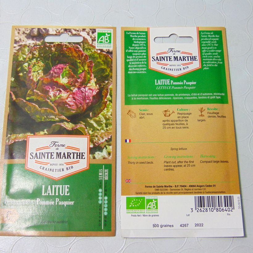 Exemplo de amostra de Laitue pommée Pasquier Bio - Ferme de Sainte Marthe per pack of 600 seeds tal como entregue