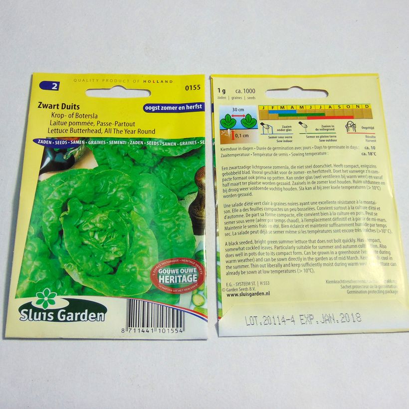 Exemplo de amostra de Laitue pommée Passe-Partout - Lactuca sativa per pack of 1000 seeds (1g) tal como entregue
