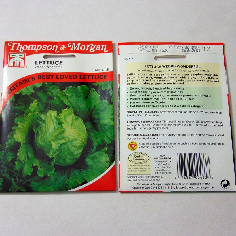 Exemplo de amostra de Laitue pommée Webbs Wonderful per pack of 1500 seeds tal como entregue
