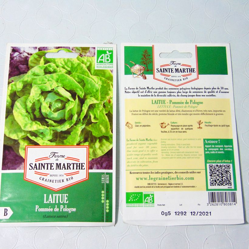 Exemplo de amostra de Laitue pommée de Pologne Bio - Ferme de Sainte Marthe per pack of 500 seeds tal como entregue