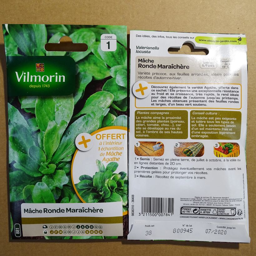 Exemplo de amostra de Mâche Ronde Maraîchère + échantillon Mâche Agathe - Vilmorin die Tüte mit 1900 Samen (3g) tal como entregue