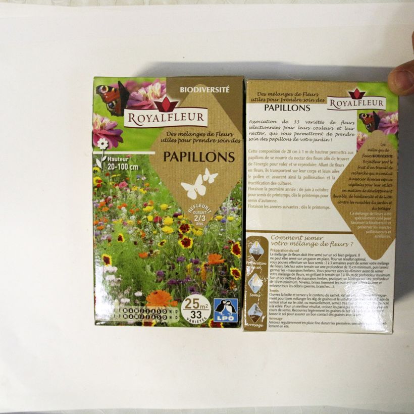 Exemplo de amostra de Mistura para atrair borboletas - Caixa 25 m² o saco de sementes de 40 gramas tal como entregue