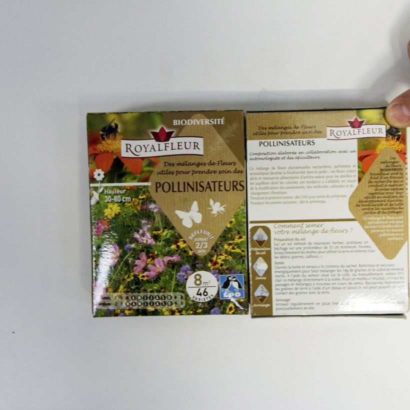 Exemplo de amostra de Mistura para atrair polinizadores - Caixa 8 m² o saco de sementes de 14 gramas tal como entregue