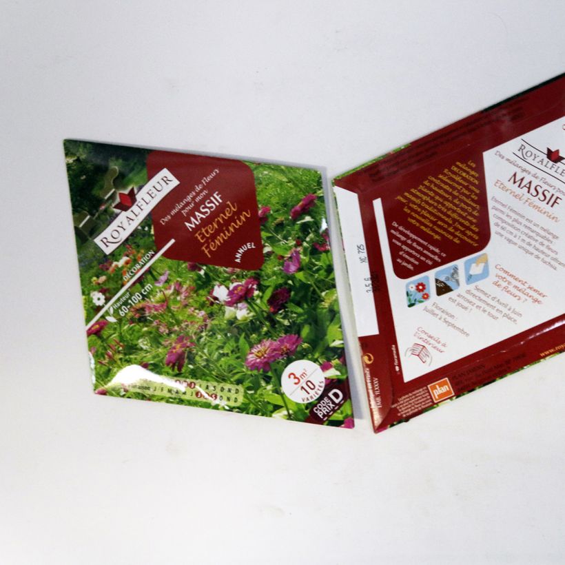 Exemplo de amostra de Mistura para maciço Eterno Feminino - Saqueta 3 m² o saco de sementes de 3.5 gramas tal como entregue