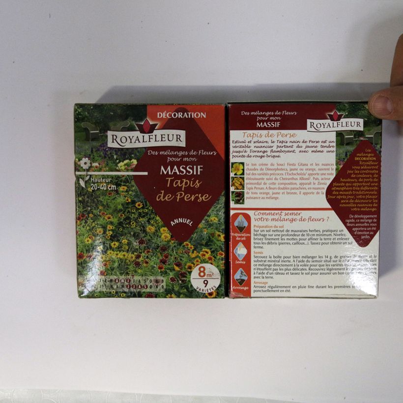 Exemplo de amostra de Mistura para maciço "Tapete Persa" - Caixa 8 m² o saco de sementes de 14 gramas tal como entregue