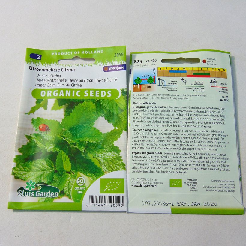 Exemplo de amostra de Mélisse citronnelle Bio Graines die Tüte mit 1000 Samen (0,6g) tal como entregue