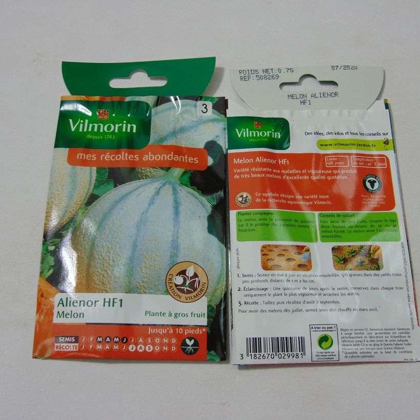 Exemplo de amostra de Melon Aliénor F1 (Création Vilmorin) - Vilmorin per pack of 21 seeds (0.7g) tal como entregue