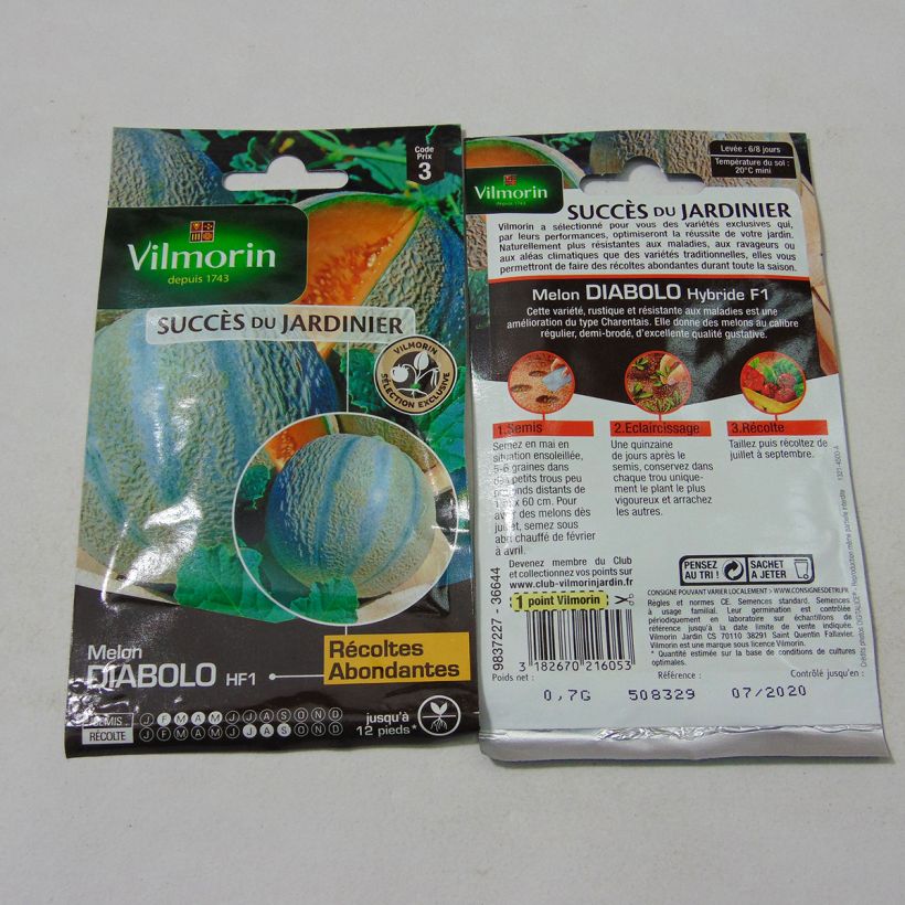 Exemplo de amostra de Melon Diabolo F1 - Vilmorin per pack of 21 seeds (0.7g) tal como entregue
