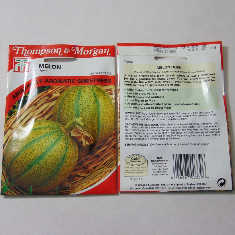 Exemplo de amostra de Melon Ogen per pack of 15 seeds tal como entregue