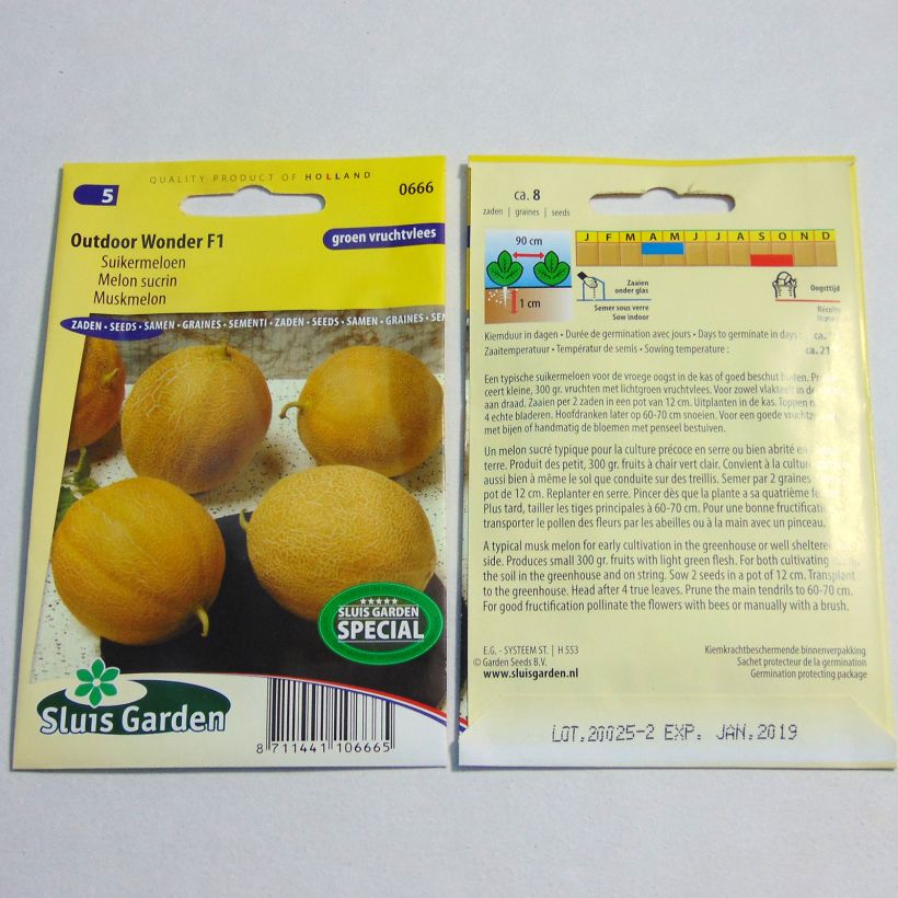 Exemplo de amostra de Melon Outdoor Wonder F1 per pack of 8 seeds tal como entregue