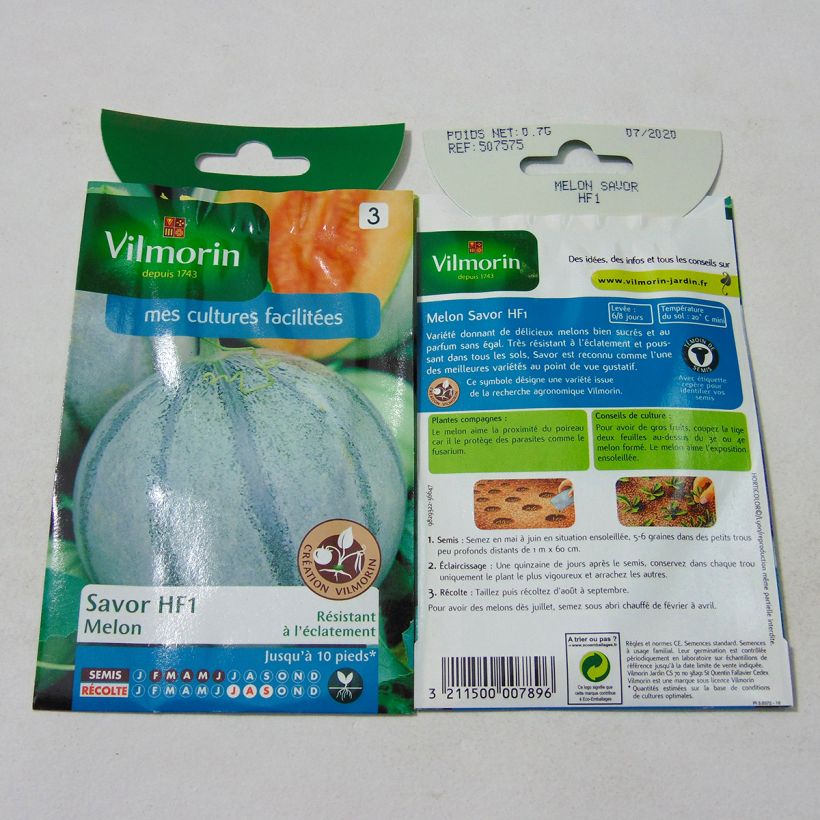 Exemplo de amostra de Melon Savor F1 (Création Vilmorin) - Vilmorin per pack of 21 seeds (0.7g) tal como entregue