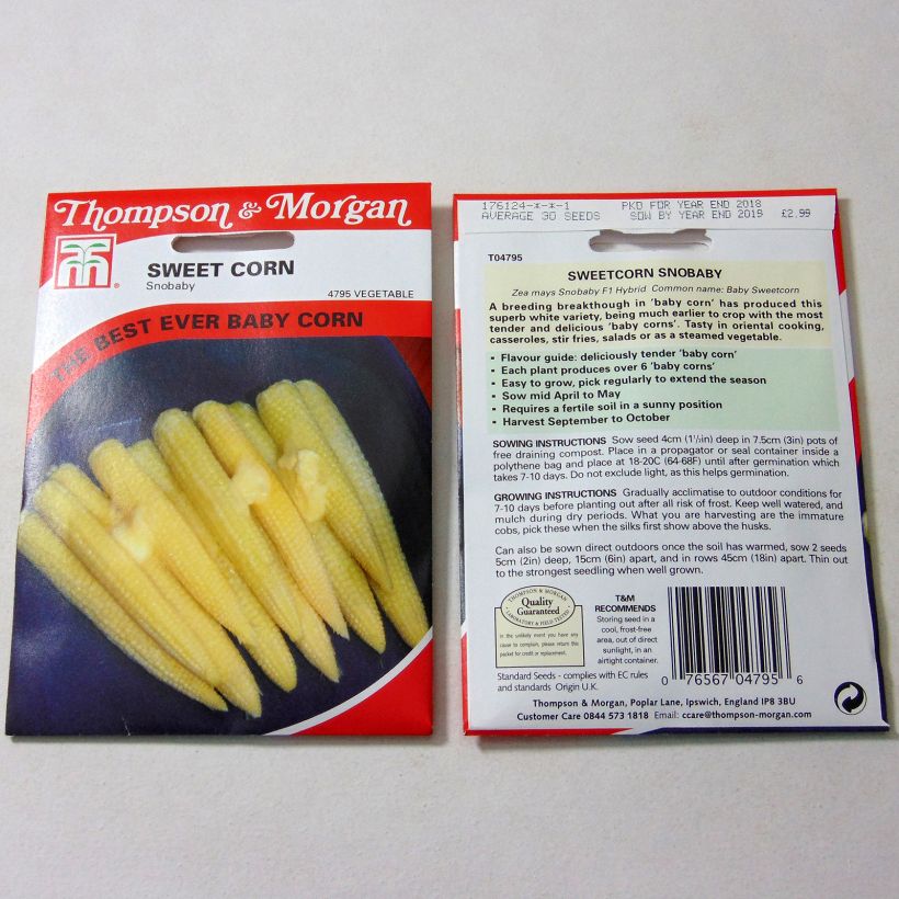 Exemplo de amostra de Mini maïs doux sucré Snobaby - Zea mays die Tüte mit 30 Samen tal como entregue