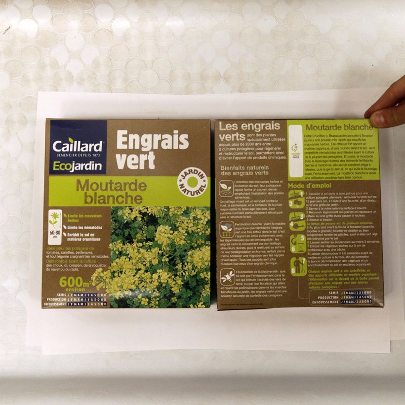 Exemplo de amostra de Mostarda Branca - Adubo Verde - Caixa de 600 m² Sementes tal como entregue
