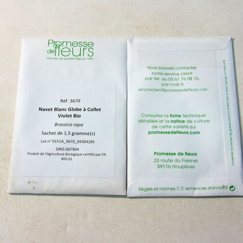 Exemplo de amostra de Navet Blanc Globe à Collet Violet Bio - Brassica rapa Sementes tal como entregue