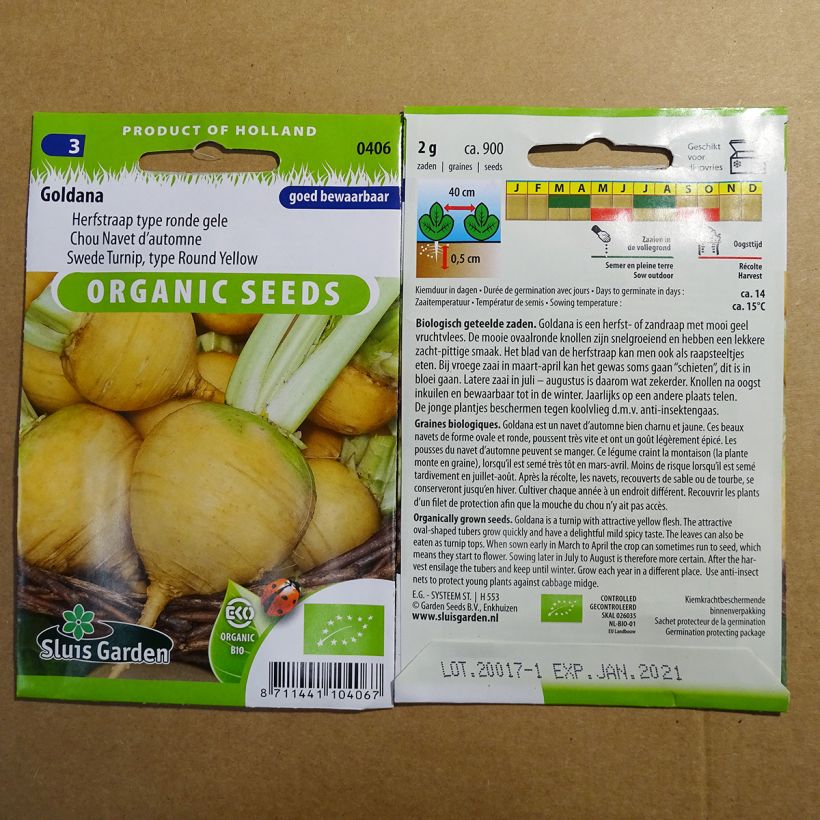 Exemplo de amostra de Navet Goldana Bio - Brassica rapa per pack of 900 seeds (0.2g) tal como entregue