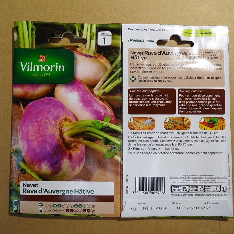 Exemplo de amostra de Navet Rave d'Auvergne Hâtif - Vilmorin per pack of 1600 seeds (4g) tal como entregue