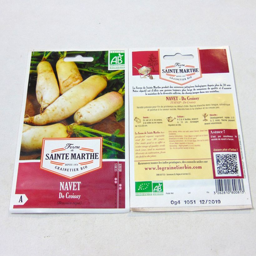 Exemplo de amostra de Navet de Croissy Bio - Ferme de Sainte Marthe per pack of 150 seeds tal como entregue