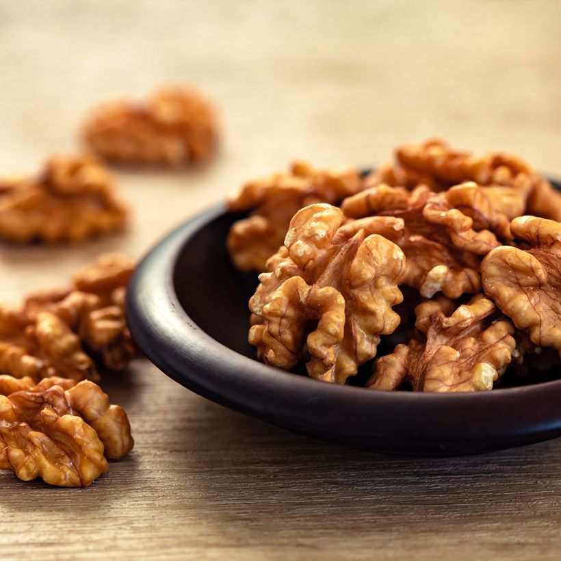 Nogueira Weinsberg 1 - Juglans regia (Colheita)