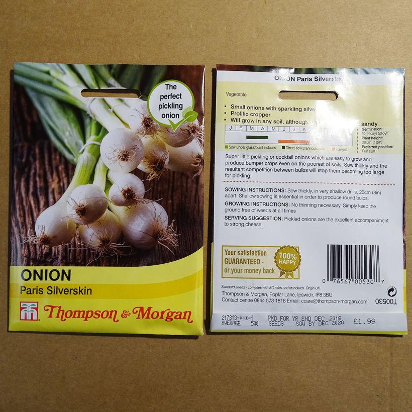 Exemplo de amostra de Oignon Blanc de Paris Silverskin - Allium cepa die Tüte mit 500 Samen tal como entregue