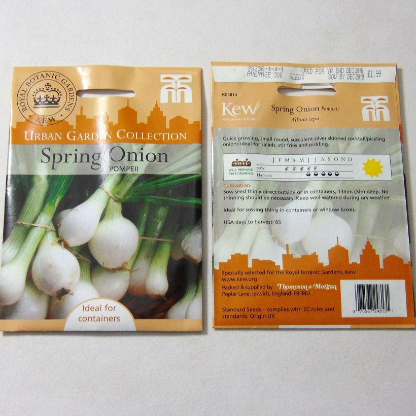 Exemplo de amostra de Oignon blanc de Pompeii - Allium cepa die Tüte mit 300 Samen tal como entregue
