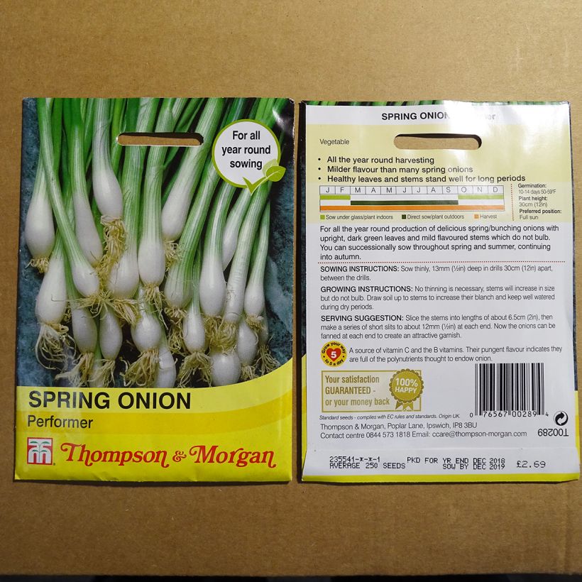 Exemplo de amostra de Oignon de printemps ciboule Performer - Allium fistulosum die Tüte mit 300 Samen tal como entregue