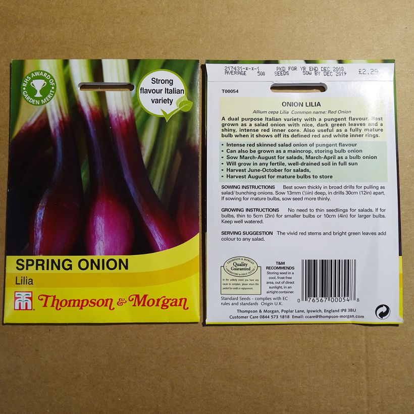 Exemplo de amostra de Oignon rouge de printemps Lilia - Allium cepa die Tüte mit 500 Samen tal como entregue