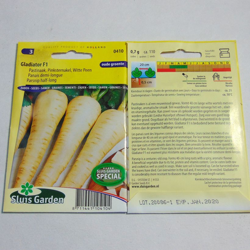 Exemplo de amostra de Panais demi-long Gladiator F1 - Pastinaca sativa - grand chervis - pastenade - patenais o saco de 110 sementes aproximadamente tal como entregue