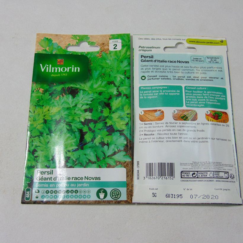 Exemplo de amostra de Persil Géant d'Italie race Novas - Vilmorin die Tüte mit 3000 Samen (5g) tal como entregue