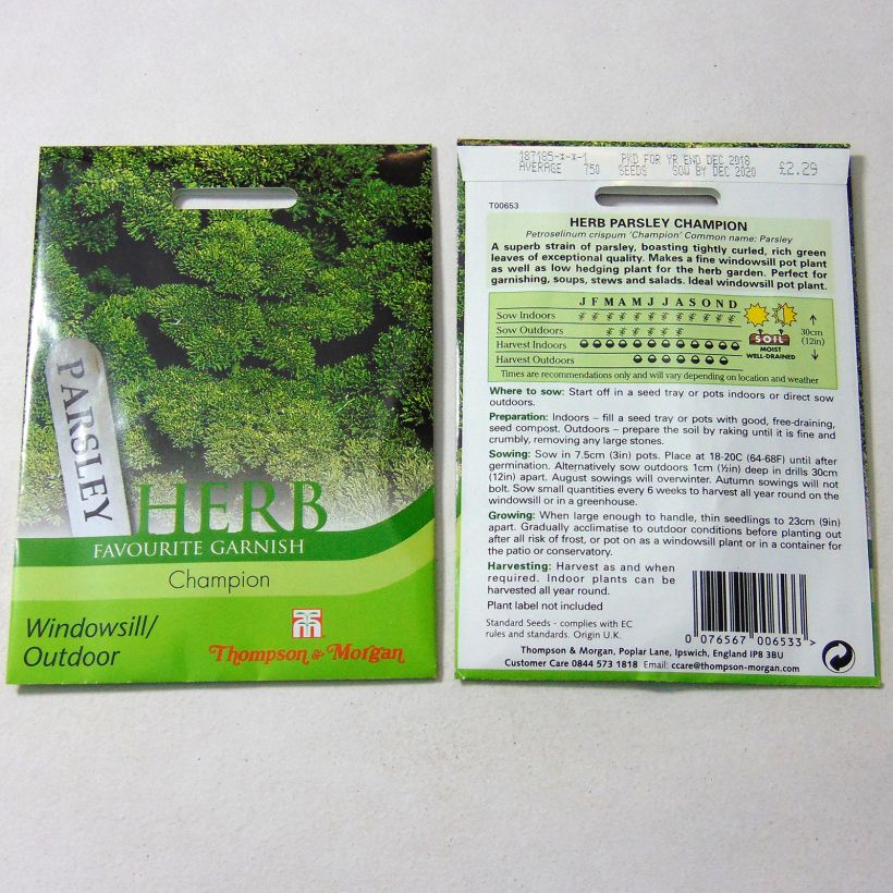 Exemplo de amostra de Persil frisé Champion die Tüte mit 1750 Samen tal como entregue