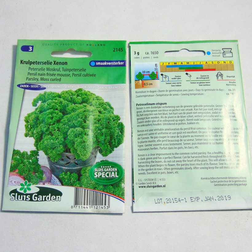 Exemplo de amostra de Persil nain frisé mousse Wega die Tüte mit 1650 Samen (3g) tal como entregue