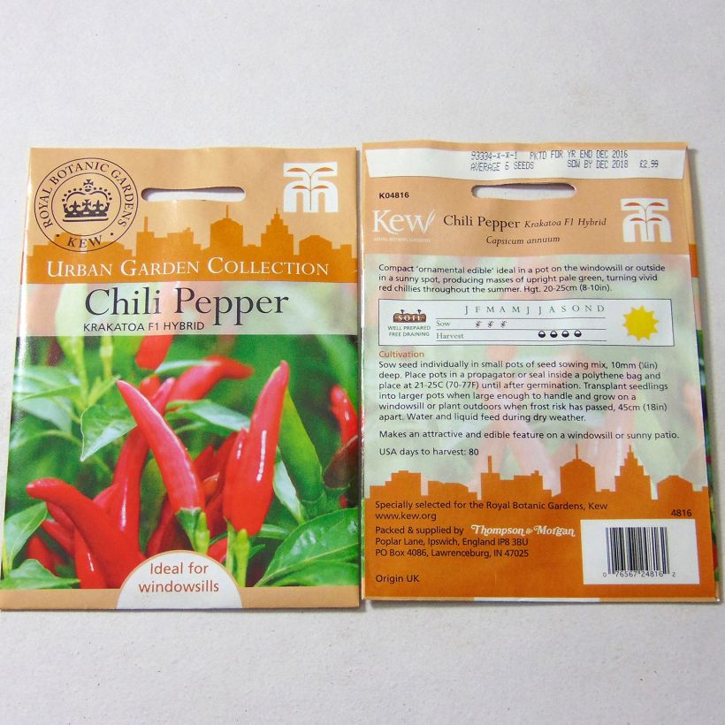 Exemplo de amostra de Piment Krakatoa - Capsicum annuum per pack of 6 seeds tal como entregue